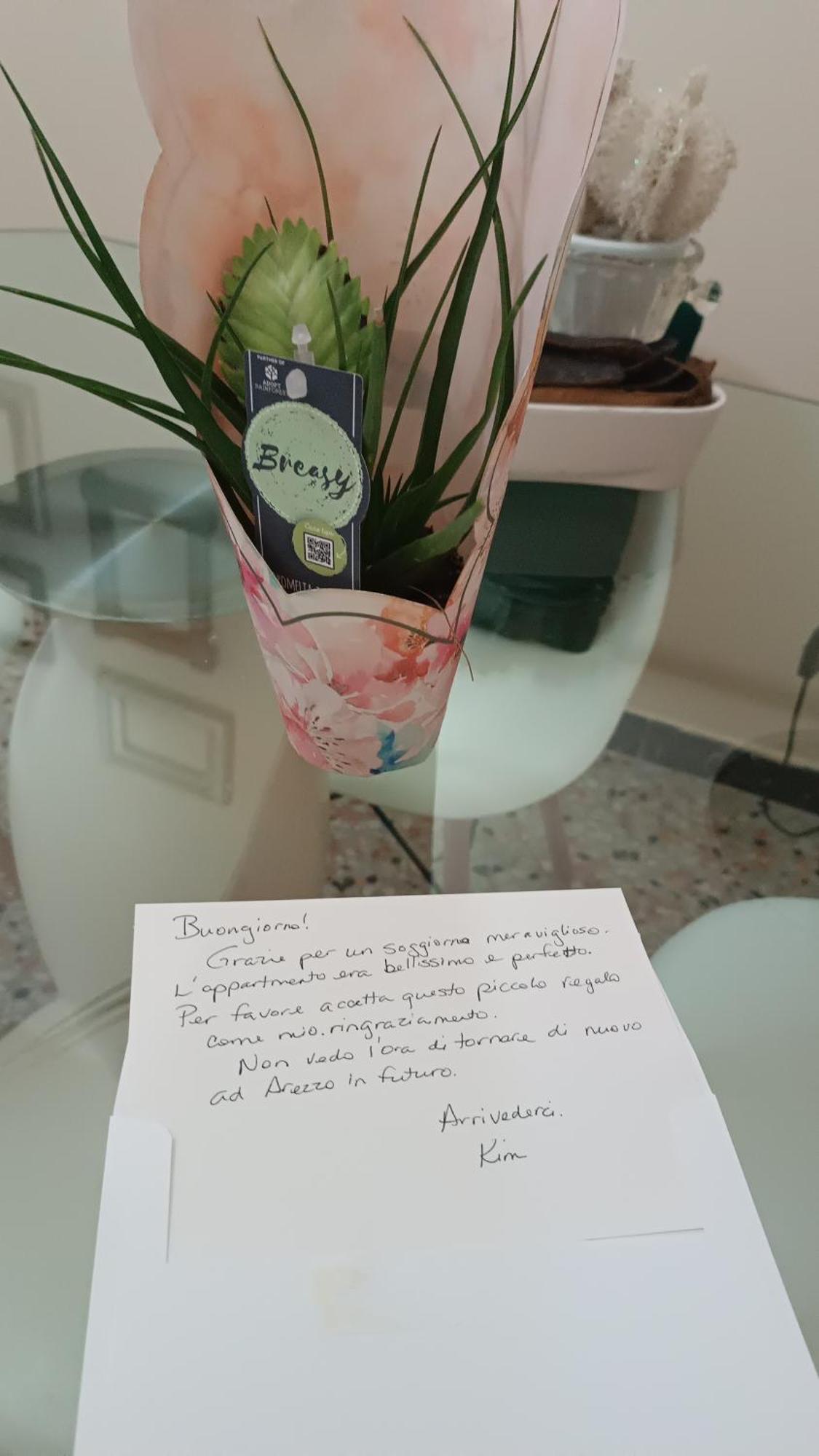 Suite Mariasole Ареццо Экстерьер фото